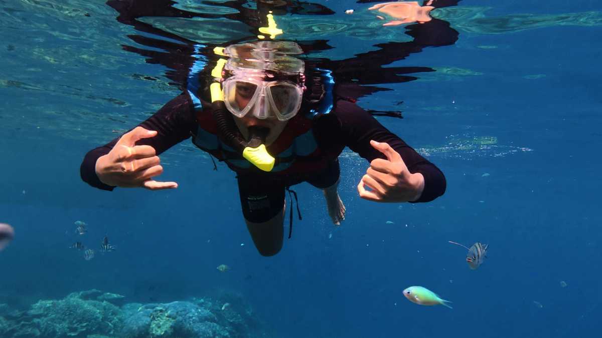 Snorkeling all’Isola dei Conigli di Porto Cesareo: guida per principianti