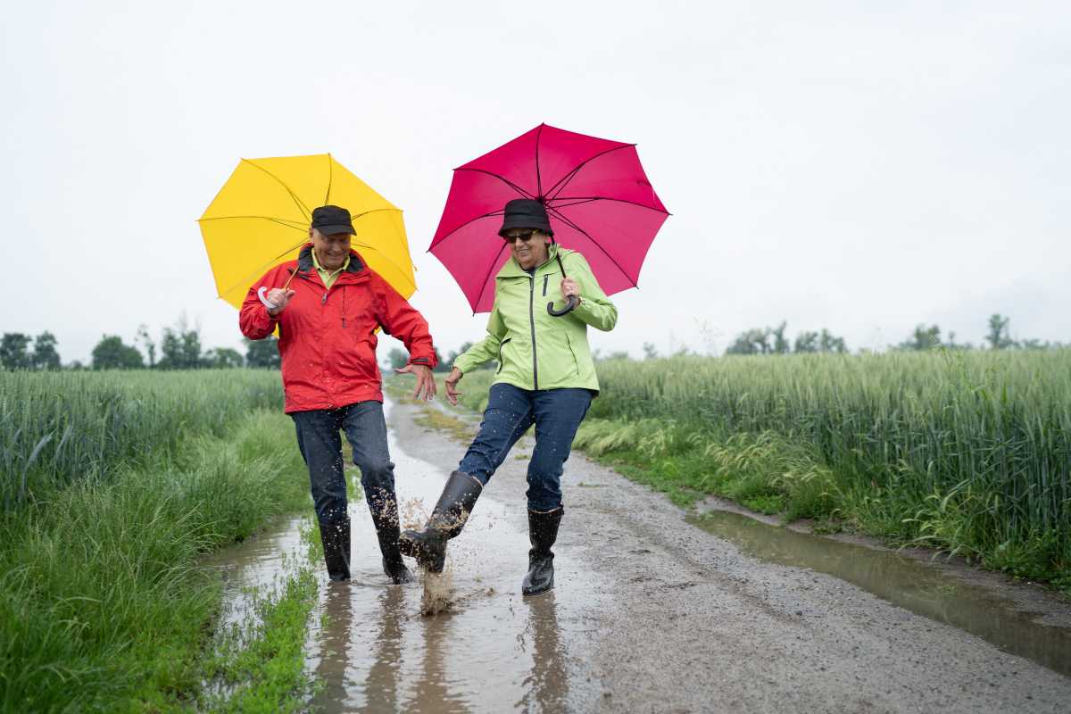 Scatto d'interni del Museo di Biologia Marina di Porto Cesareo, dettagli di reperti marini e visitatori che osservano le esposizioni